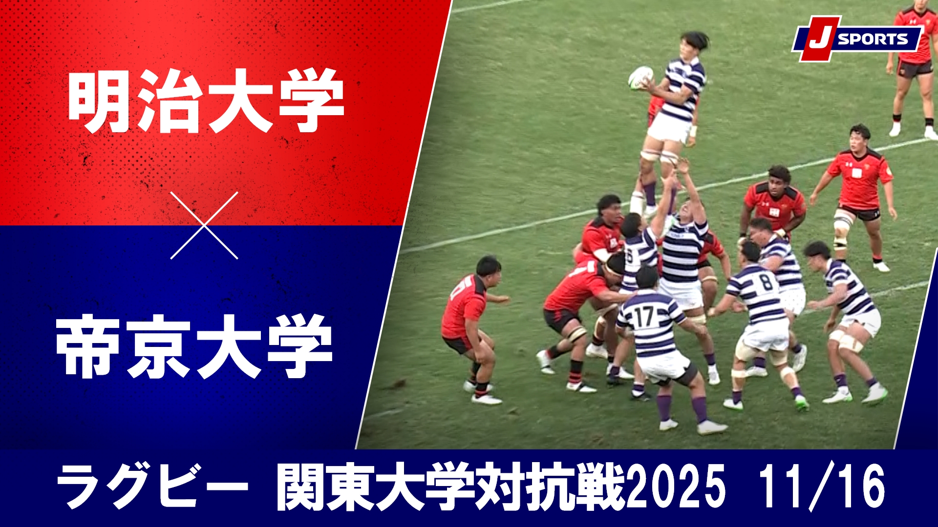 【ハイライト】明治大学 vs. 帝京大学｜ラグビー 関東大学対抗戦2025（11月16日）