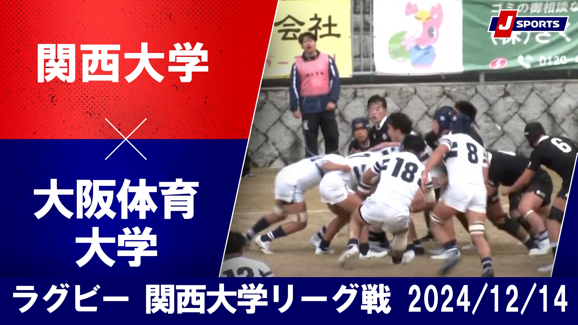 【ハイライト】関西大学 vs. 大阪体育大学｜ラグビー 関西大学リーグ2024 入替戦（12月14日）