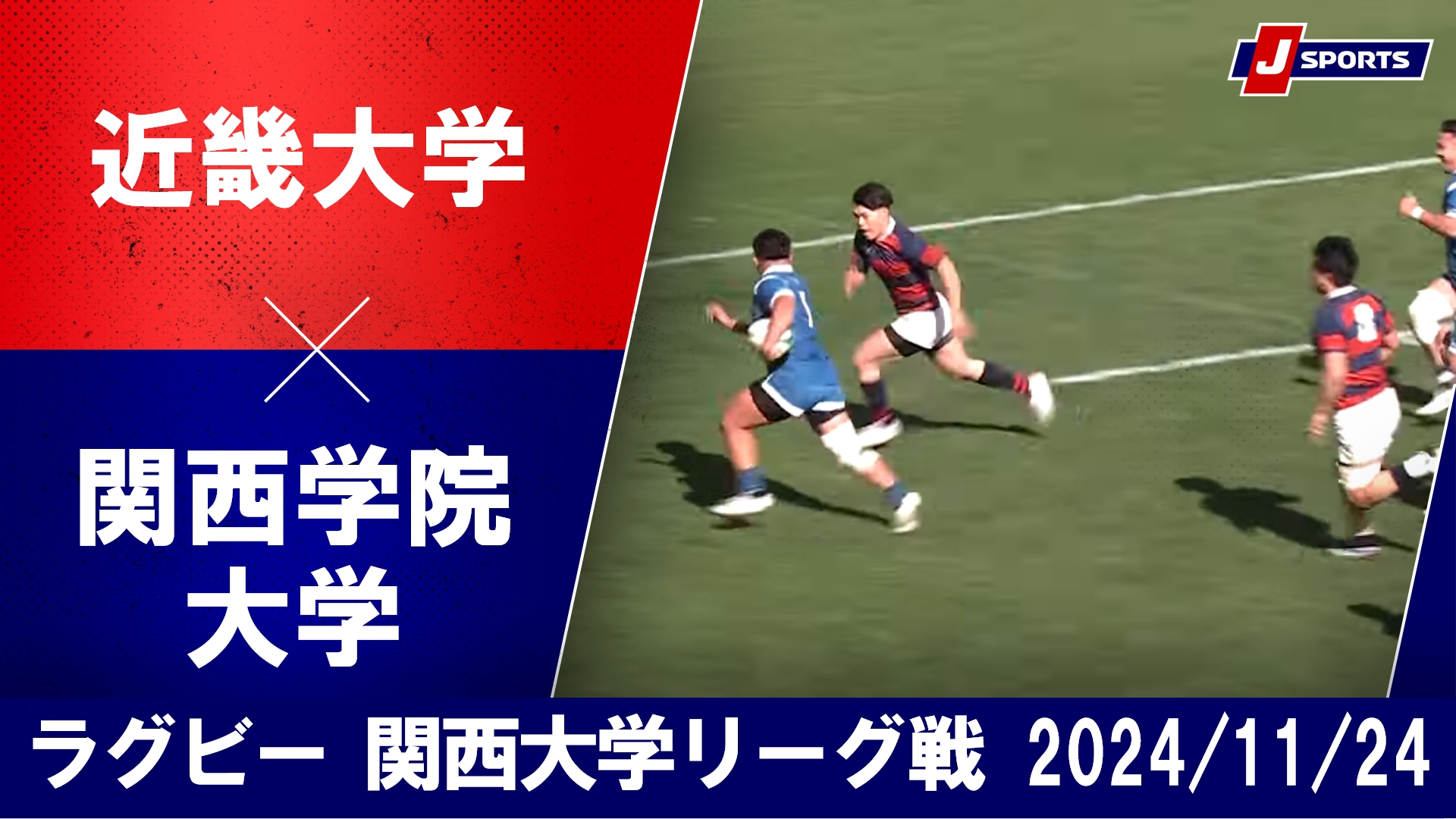 【ハイライト】近畿大学 vs. 関西学院大学｜ラグビー 関西大学リーグ2024（11月30日）