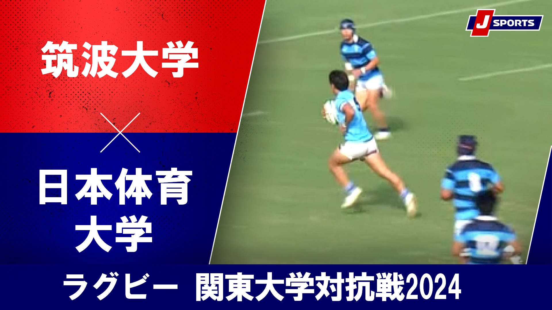 【ハイライト】筑波大学 vs. 日本体育大学｜ラグビー 関東大学対抗戦2024 #c_rugby