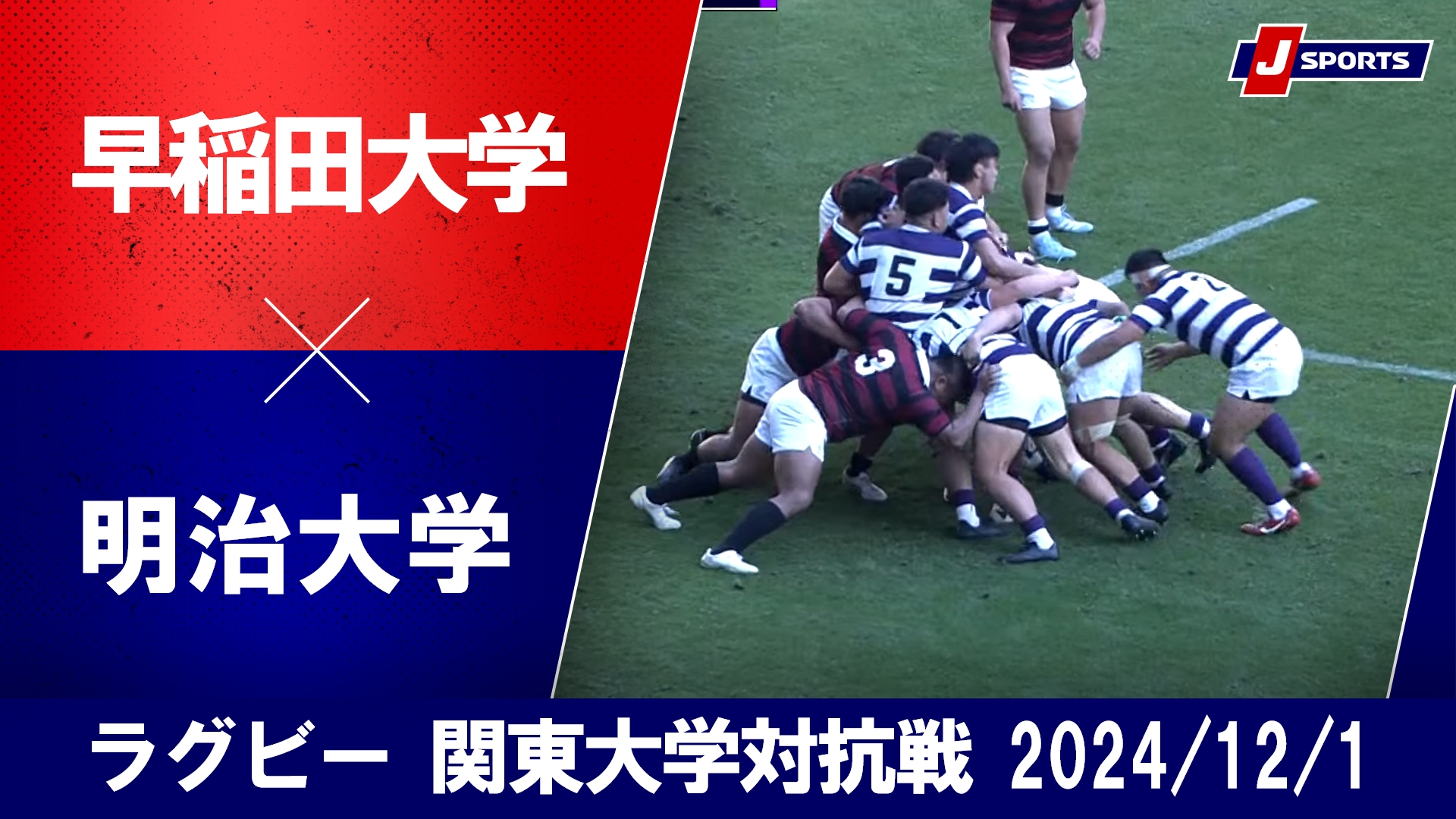 【ハイライト】早稲田大学 vs. 明治大学｜ラグビー 関東大学対抗戦2024（12月1日）