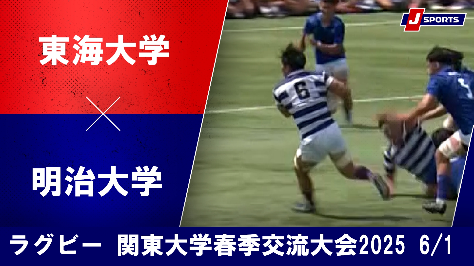 動画】【ハイライト】東海大学 vs. 明治大学｜関東大学春季交流