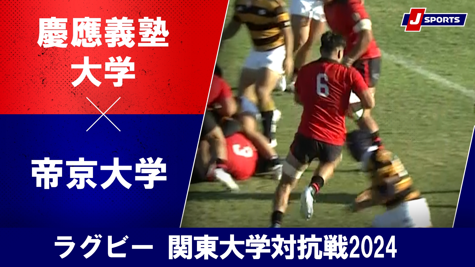 【ハイライト】慶應義塾大学 vs. 帝京大学｜ラグビー 関東大学対抗戦2024 #c_rugby