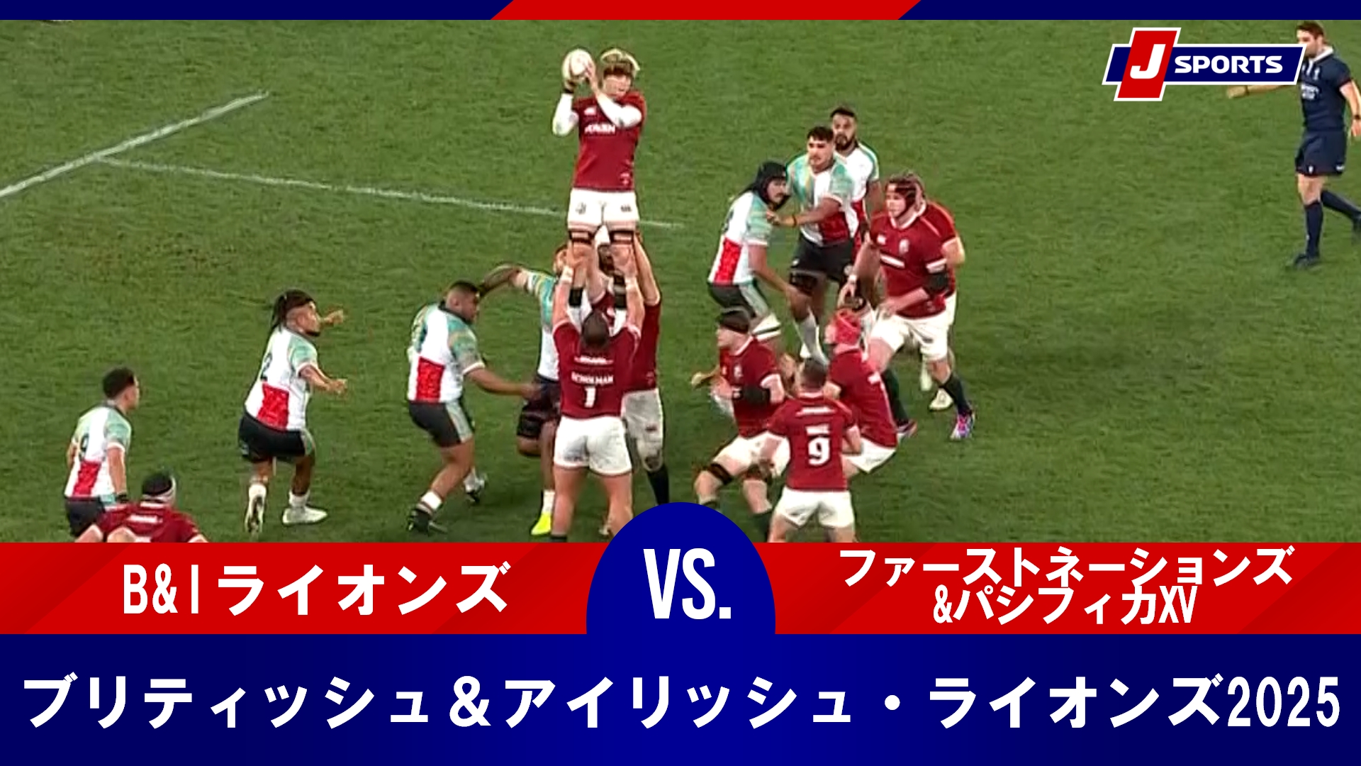 B&Iライオンズ2025オーストラリアツアー公式ビーニー B&I ライオンズ