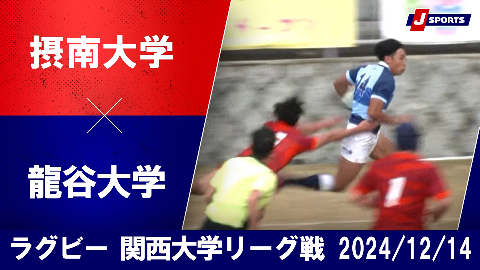 【ハイライト】摂南大学  vs. 龍谷大学｜ラグビー 関西大学リーグ2024 入替戦（12月14日）