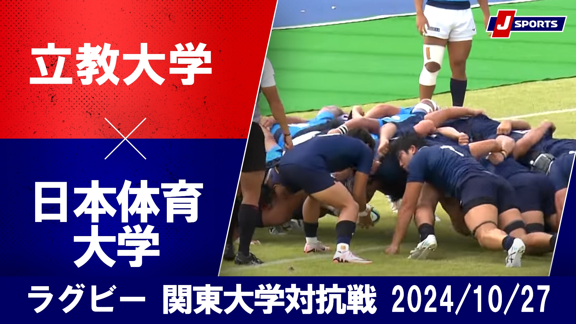 【ハイライト】立教大学 vs. 日本体育大学｜ラグビー 関東大学対抗戦2024 #c_rugby