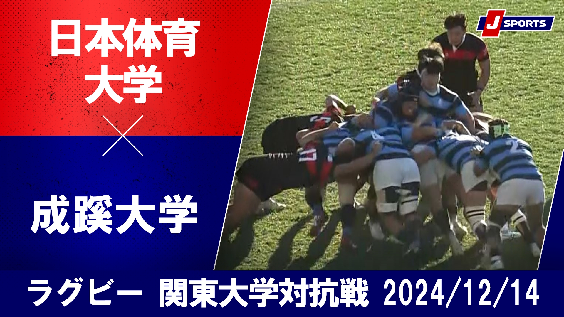 【ハイライト】日本体育大学 vs. 成蹊大学｜ラグビー 関東大学対抗戦2024 入替戦  （12月14日）#c_rugby