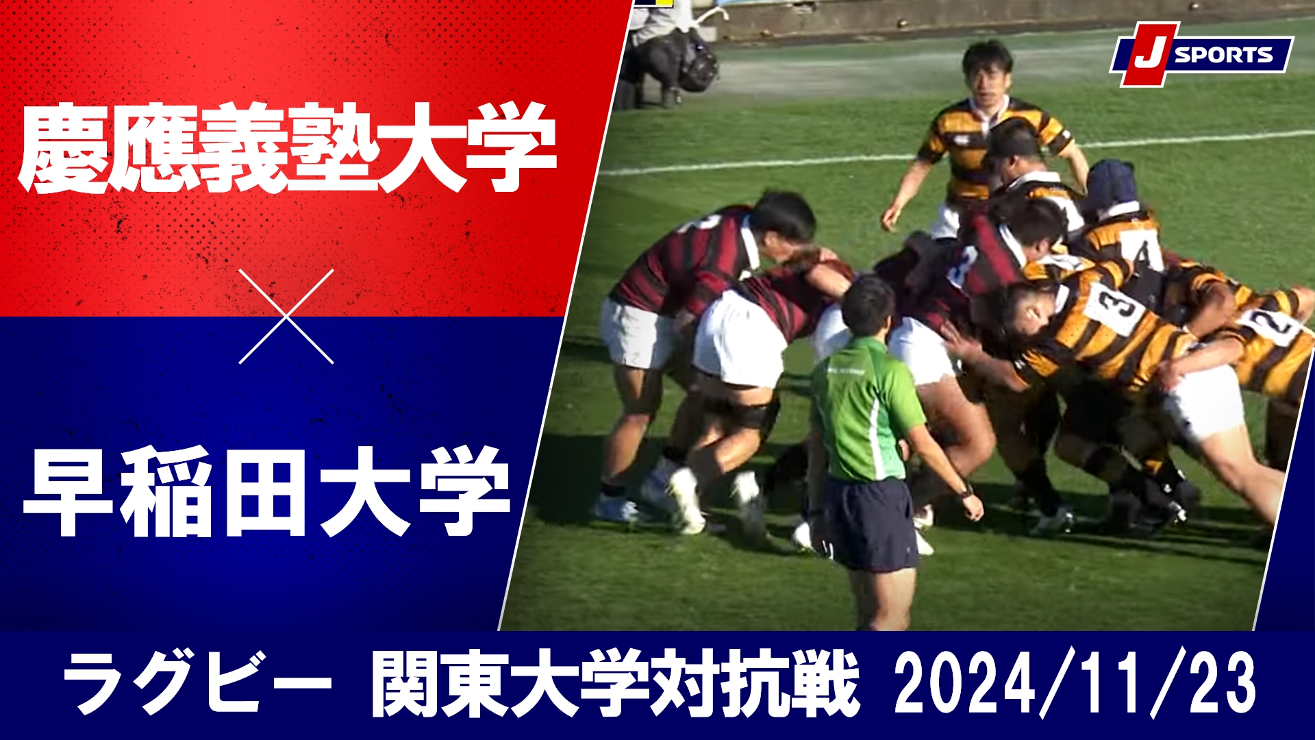 【ハイライト】慶應義塾大学 vs. 早稲田大学｜ラグビー 関東大学対抗戦2024 #c_rugby