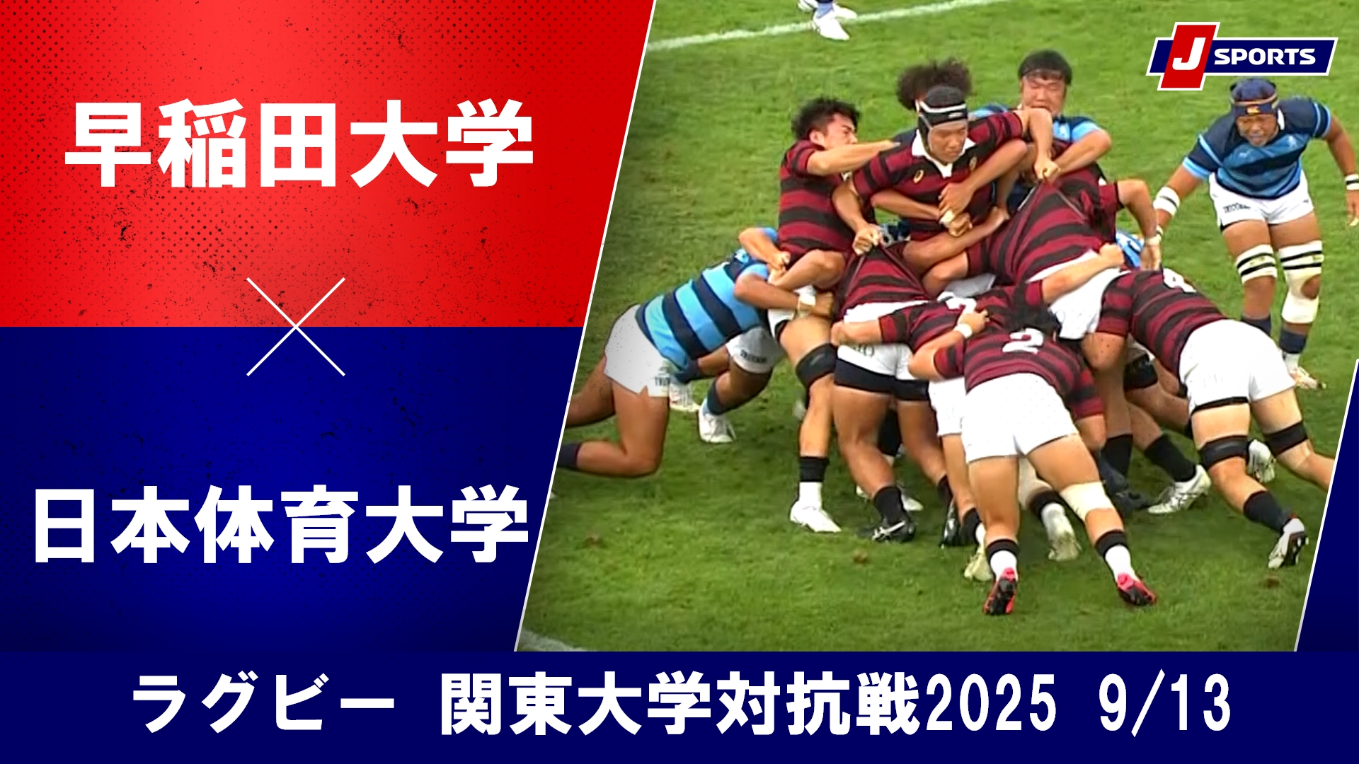 動画】【ハイライト】早稲田大学 vs. 日本体育大学｜ラグビー