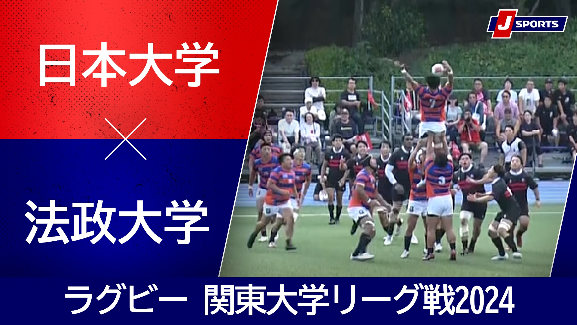 【ハイライト】日本大学 vs. 法政大学｜ラグビー 関東大学リーグ戦2024 #c_rugby