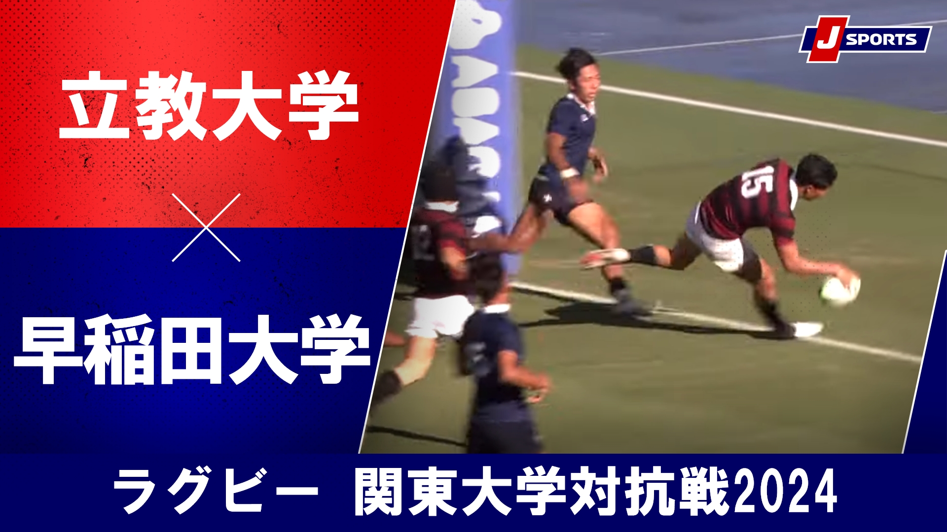 【ハイライト】立教大学 vs. 早稲田大学｜ラグビー 関東大学対抗戦2024 #c_rugby