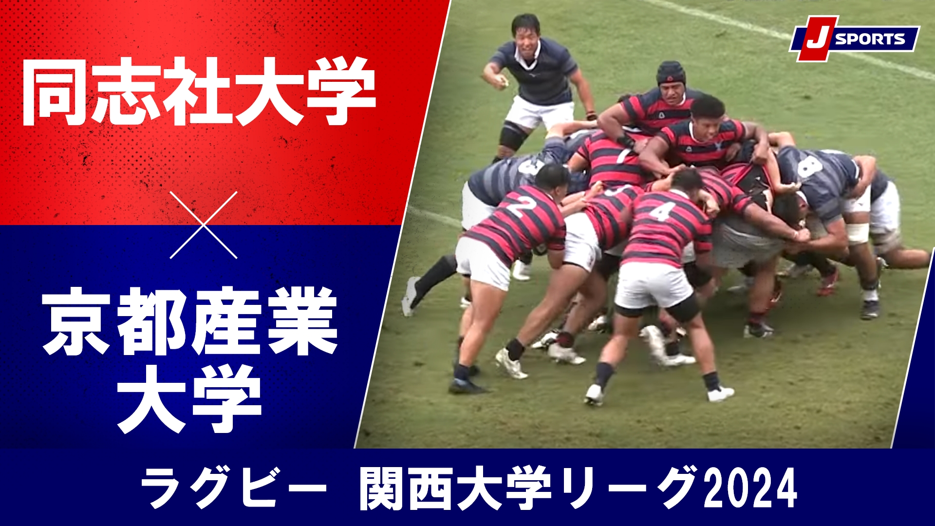 【ハイライト】同志社大学 vs. 京都産業大学｜ラグビー 関西大学リーグ2024 #c_rugby