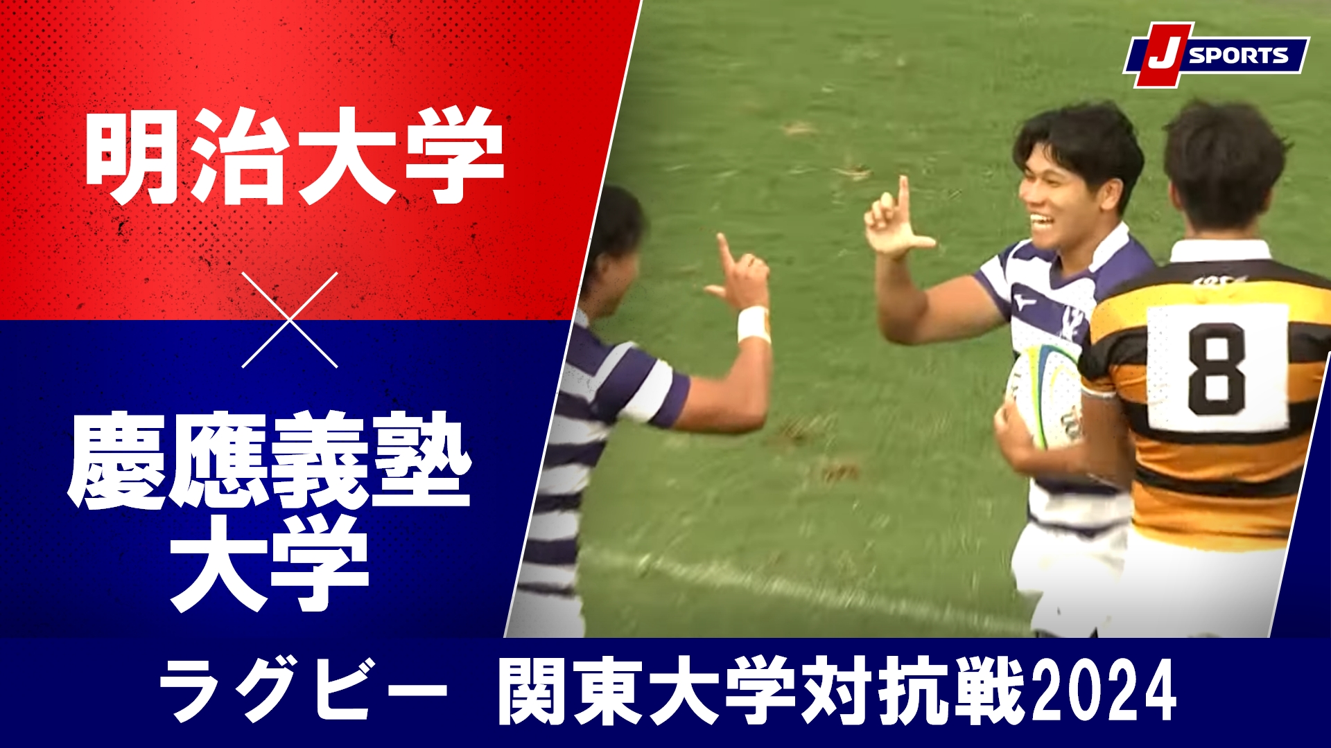 【ハイライト】明治大学 vs. 慶應義塾大学｜ラグビー 関東大学対抗戦2024 #c_rugby