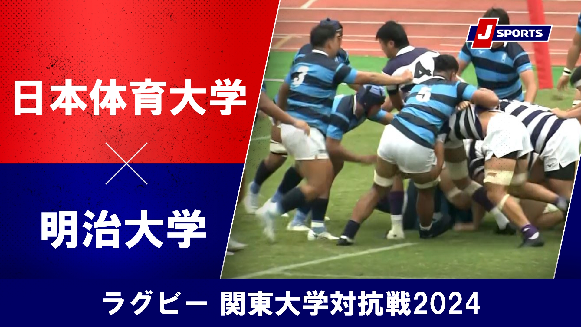 【ハイライト】日本体育大学 vs. 明治大学｜ラグビー 関東大学対抗戦2024 #c_rugby