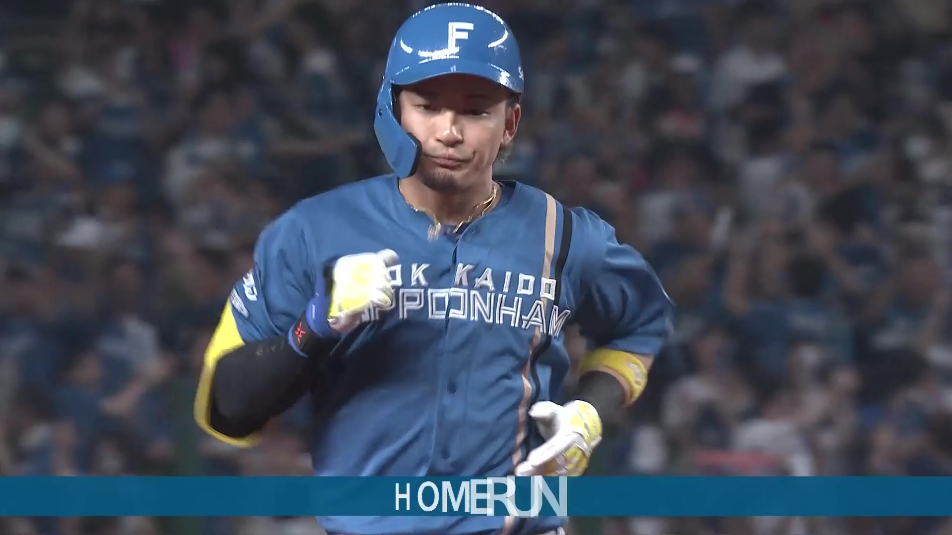 西武ライオンズ　日本ハムファイターズ　試合球 西武ライオンズ 日本ハムファイターズ 試合球 公式】北海道日本
