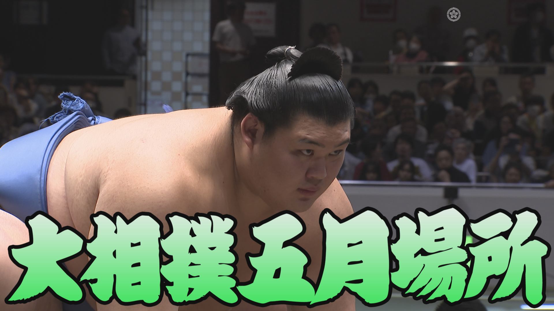 【相撲協会 十三日目の一番】大関･大の里-大関･琴櫻