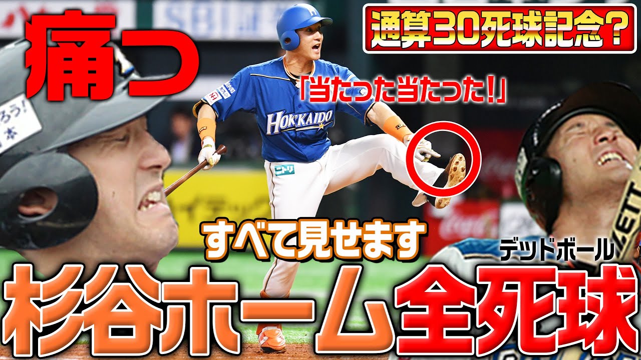 杉谷拳士さん 投げ入れ直筆サインボール 北海道日本ハム