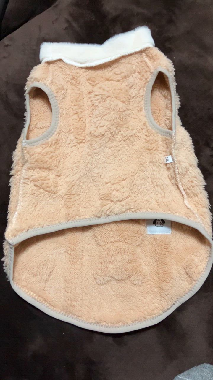 全体のレビュー動画のサムネイル | 5