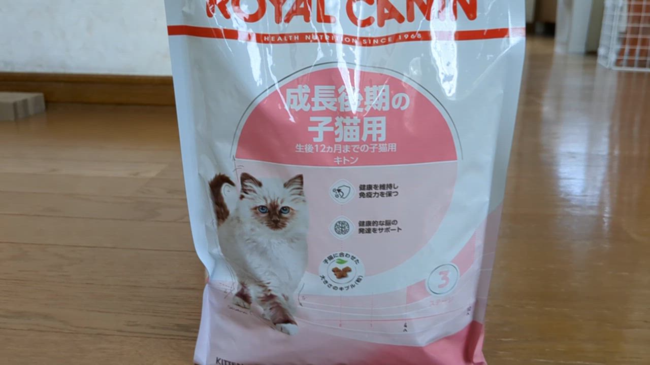 ロイヤルカナン　成長後期の子猫用2kg×2袋 ロイヤルカナン 【2kg×2袋】ロイヤルカナン FHN キトン 成長後期