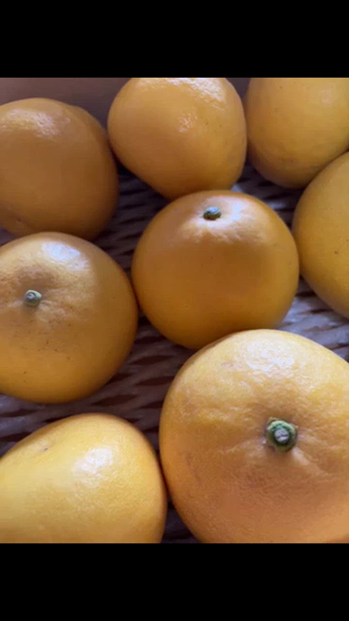 パール柑 文旦 みかん 送料無料 秀品 5kg M〜2Lサイズ混合 熊本