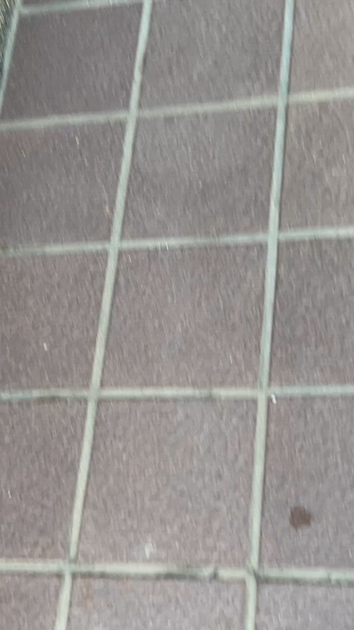 全体のレビュー動画のサムネイル | 4