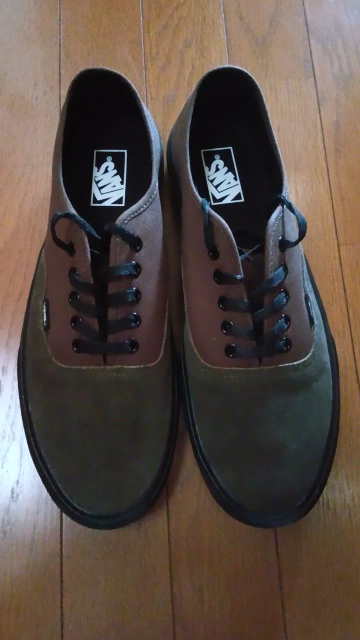 VANS スニーカー ヴァンズ AUTHENTIC LITE オーセンティック