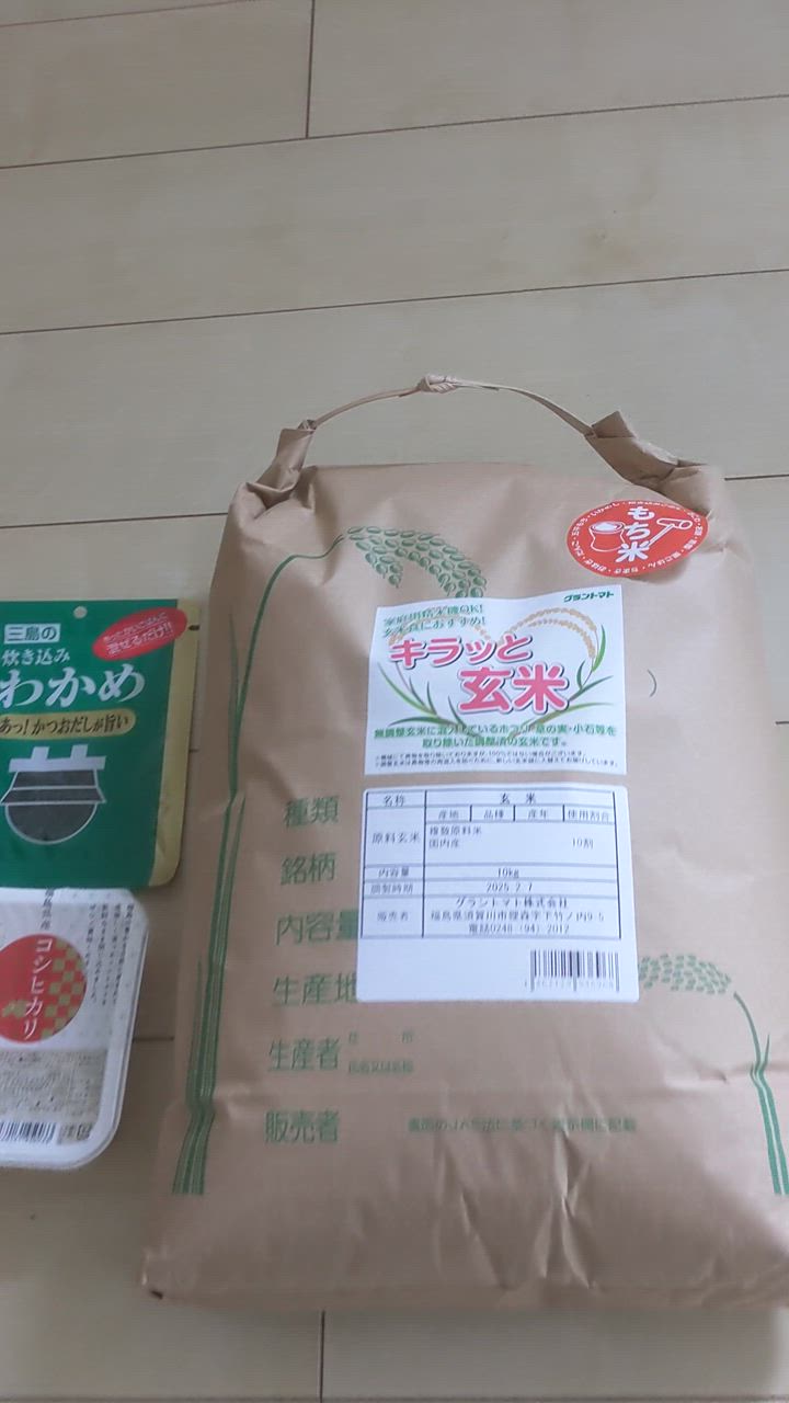 こがねもち もち米 玄米 10kg 米 お米 国内産 送料無料 キラッと