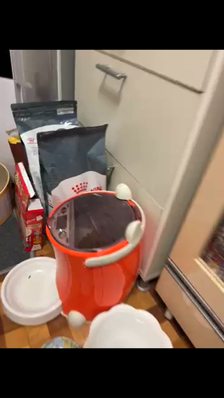 全体のレビュー動画のサムネイル | 9