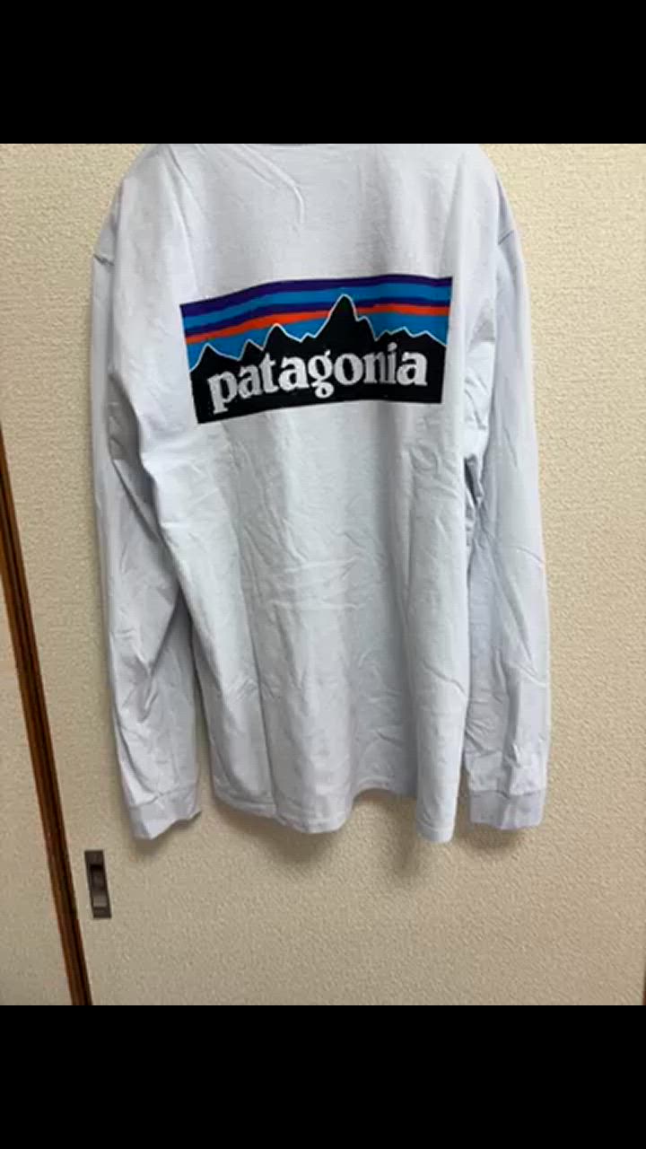 パタゴニア　ベネフィシャル　 ハンマー　ロンT パタゴニア ベネフィシャル ハンマー ロンT