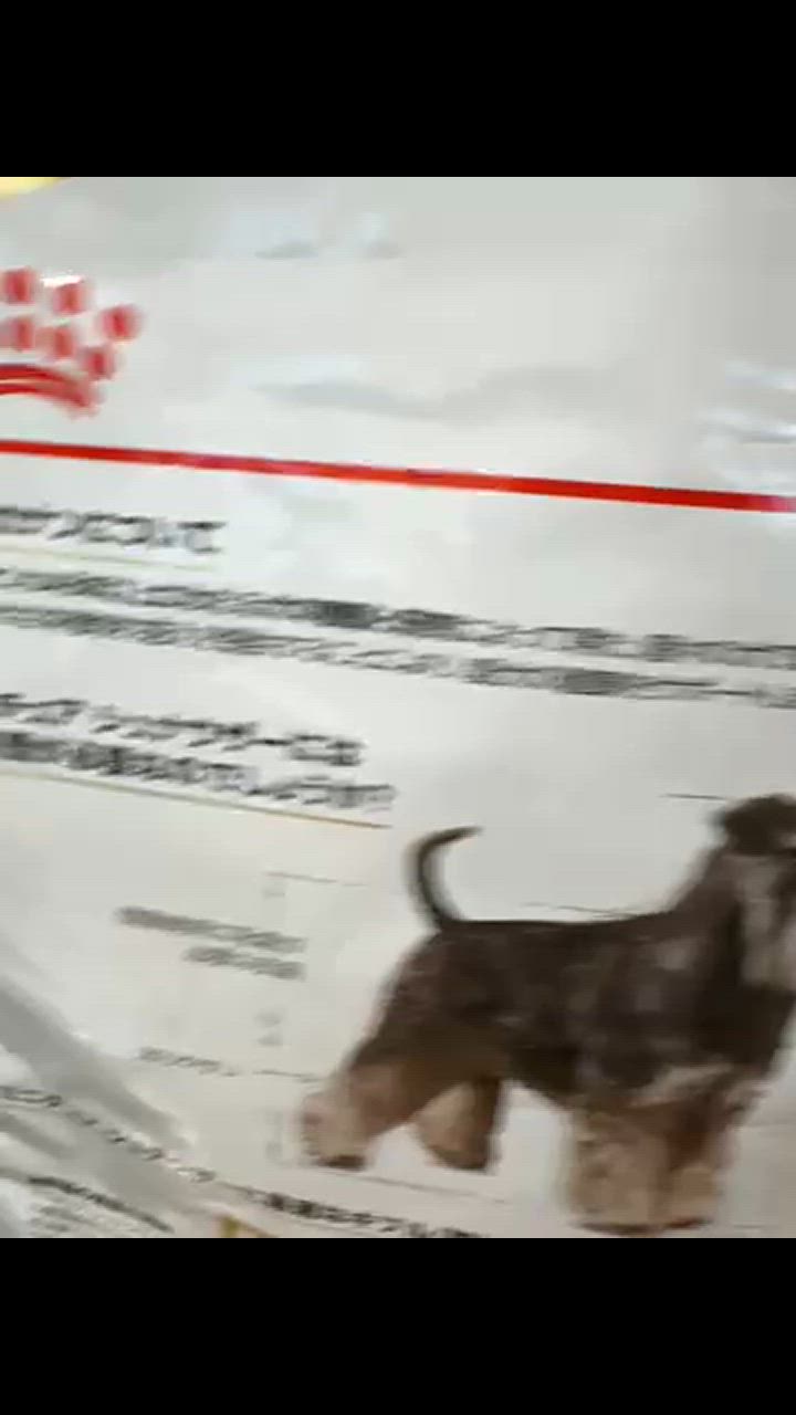 全体のレビュー動画のサムネイル | 3