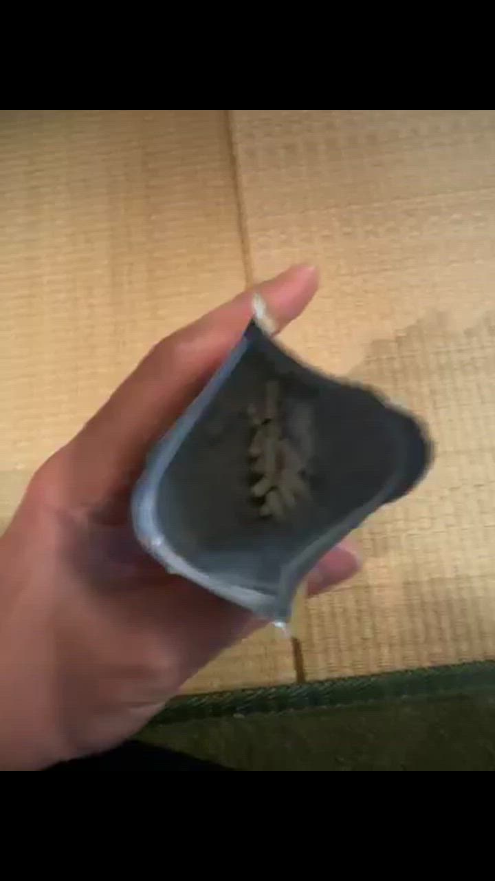 全体のレビュー動画のサムネイル | 4