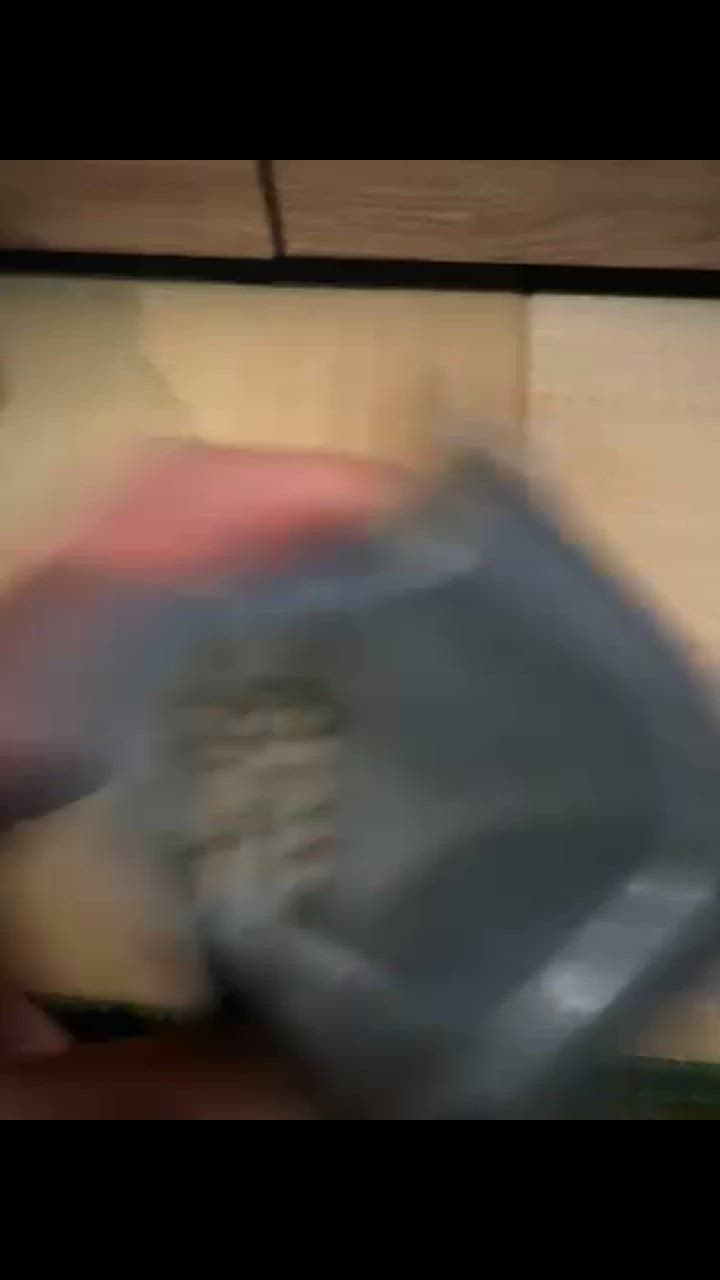 全体のレビュー動画のサムネイル | 3