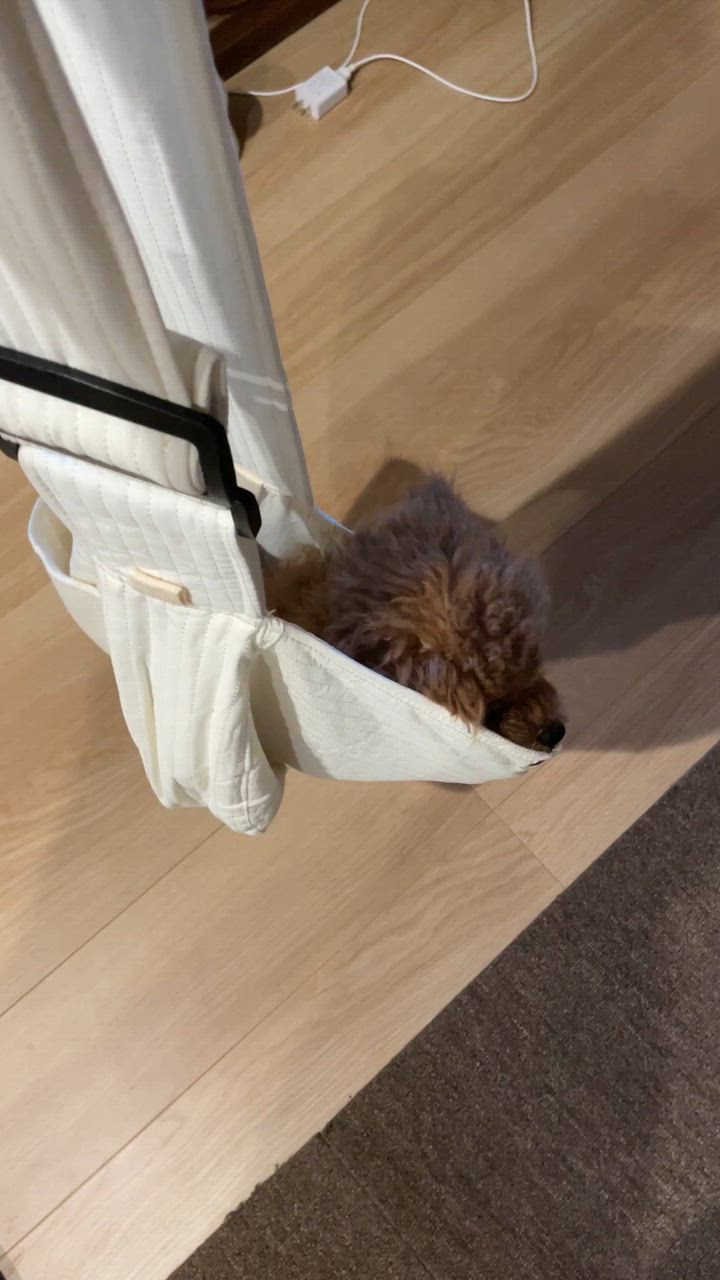 全体のレビュー動画のサムネイル | 0