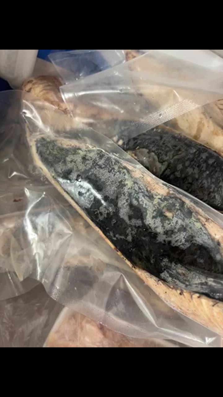 全体のレビュー動画のサムネイル | 12