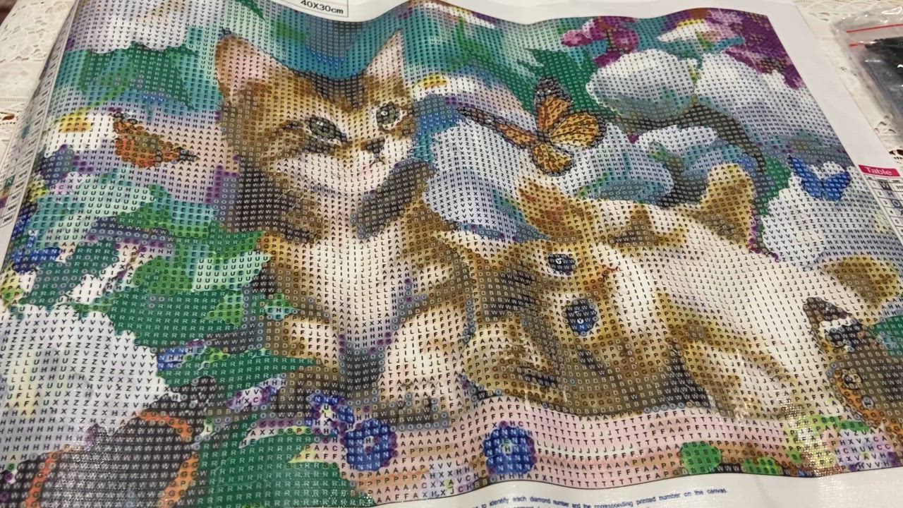 全体のレビュー動画のサムネイル | 1