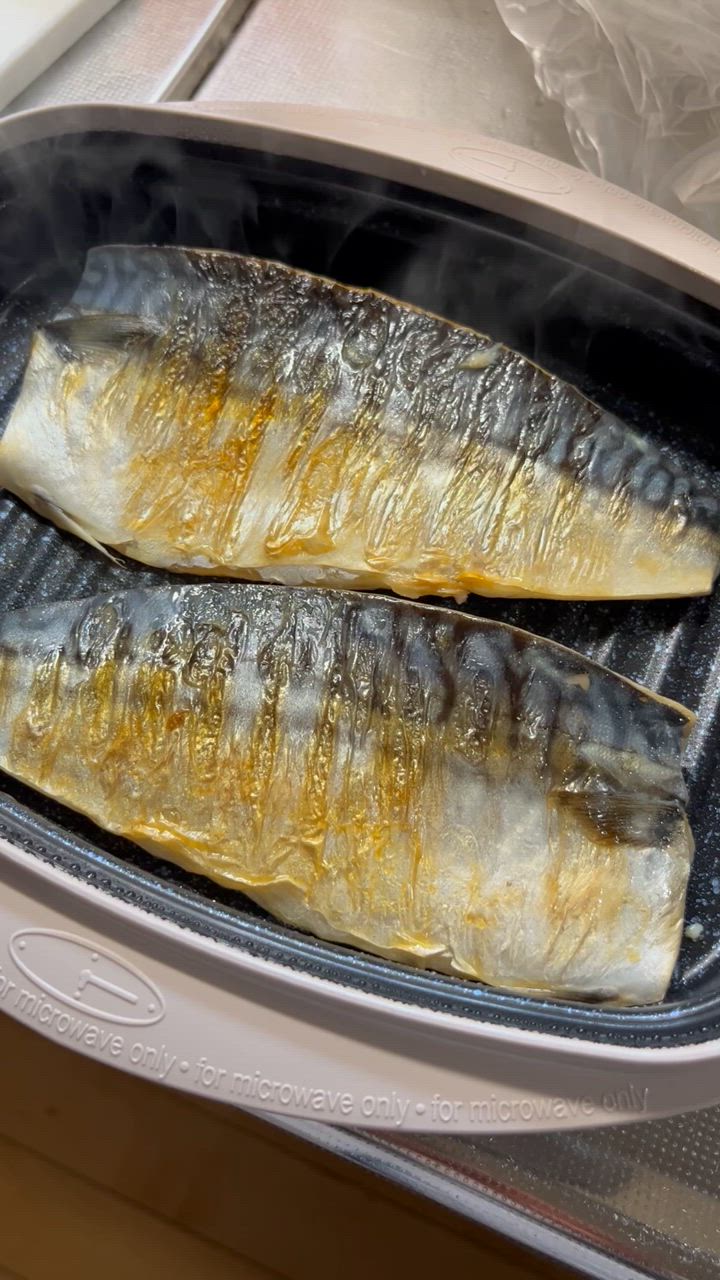 dinos レンジメートプロ 電子レンジ専用調理器 レンジで焼き魚