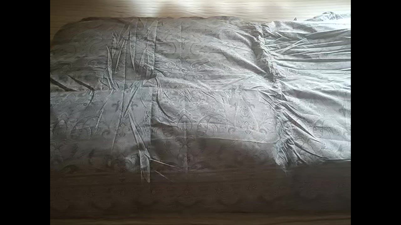 全体のレビュー動画のサムネイル | 1