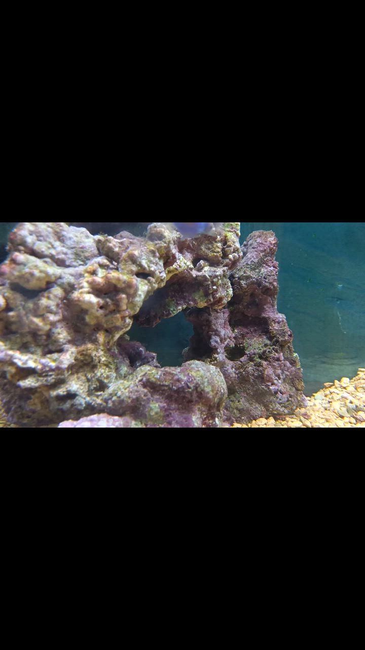 全体のレビュー動画のサムネイル | 0