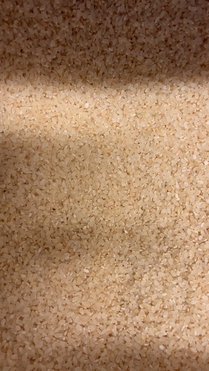 次回入荷4/29 12:00)令和6年産 米 お米 玄米 30kg 宮城県産 次回入荷4/29 12:00)令和6年産 米 お米 玄米 30kg 宮城県産