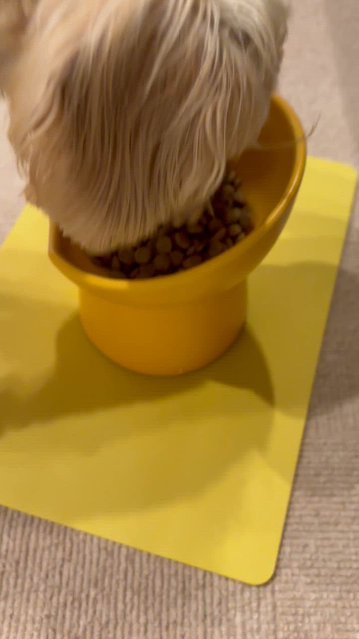 K9ナチュラル フリーズドライ ラム&キングサーモン 500g K9ナチュラル フリーズドライ ラム&キングサーモン 500g