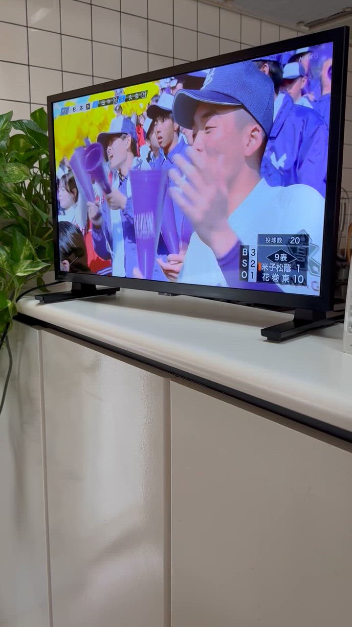 REGZA レグザ 24V型 ハイビジョンLED液晶テレビ 24V35N (宅配