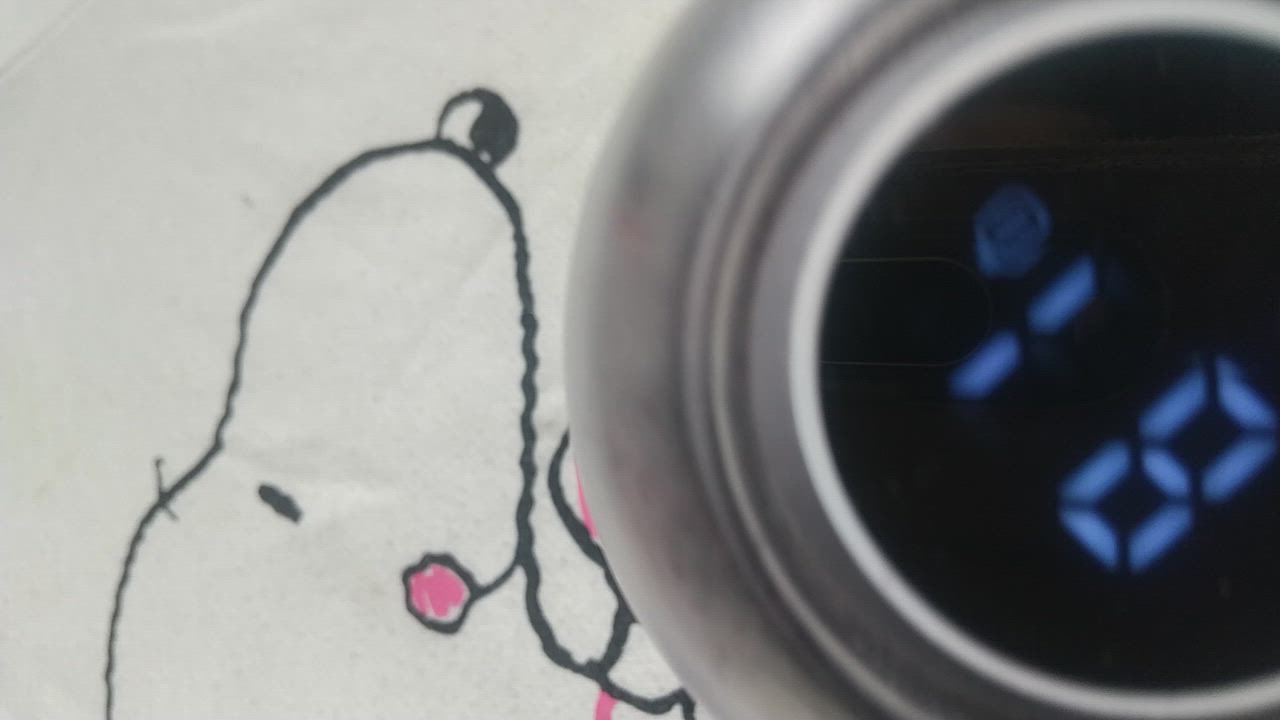 全体のレビュー動画のサムネイル | 8