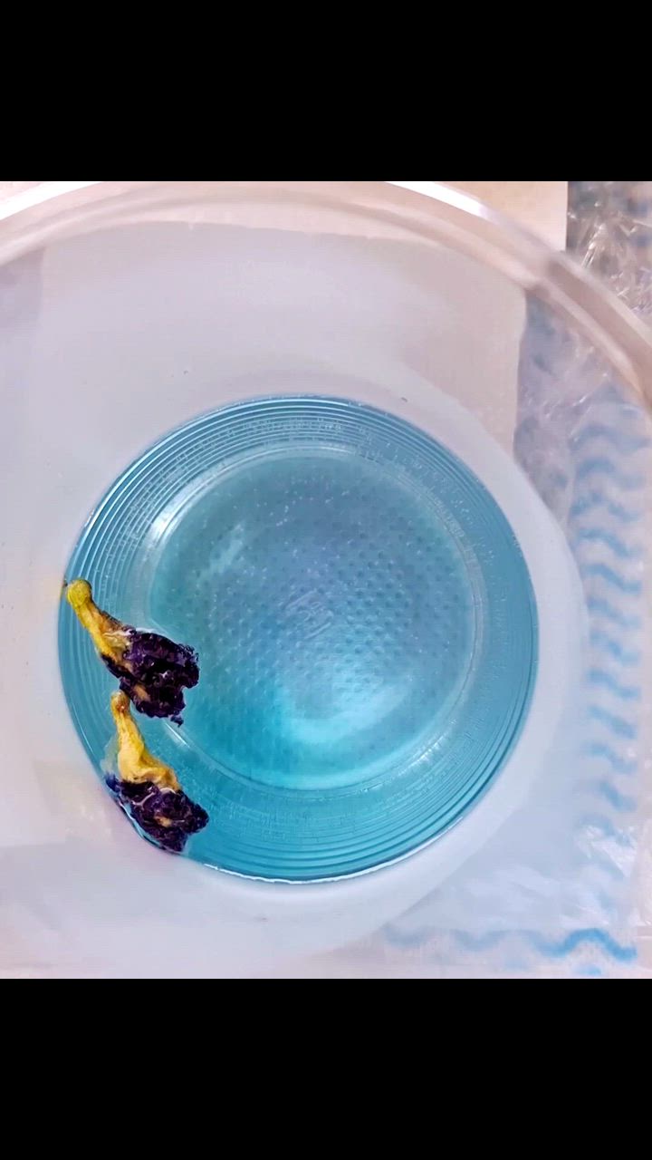 全体のレビュー動画のサムネイル | 1