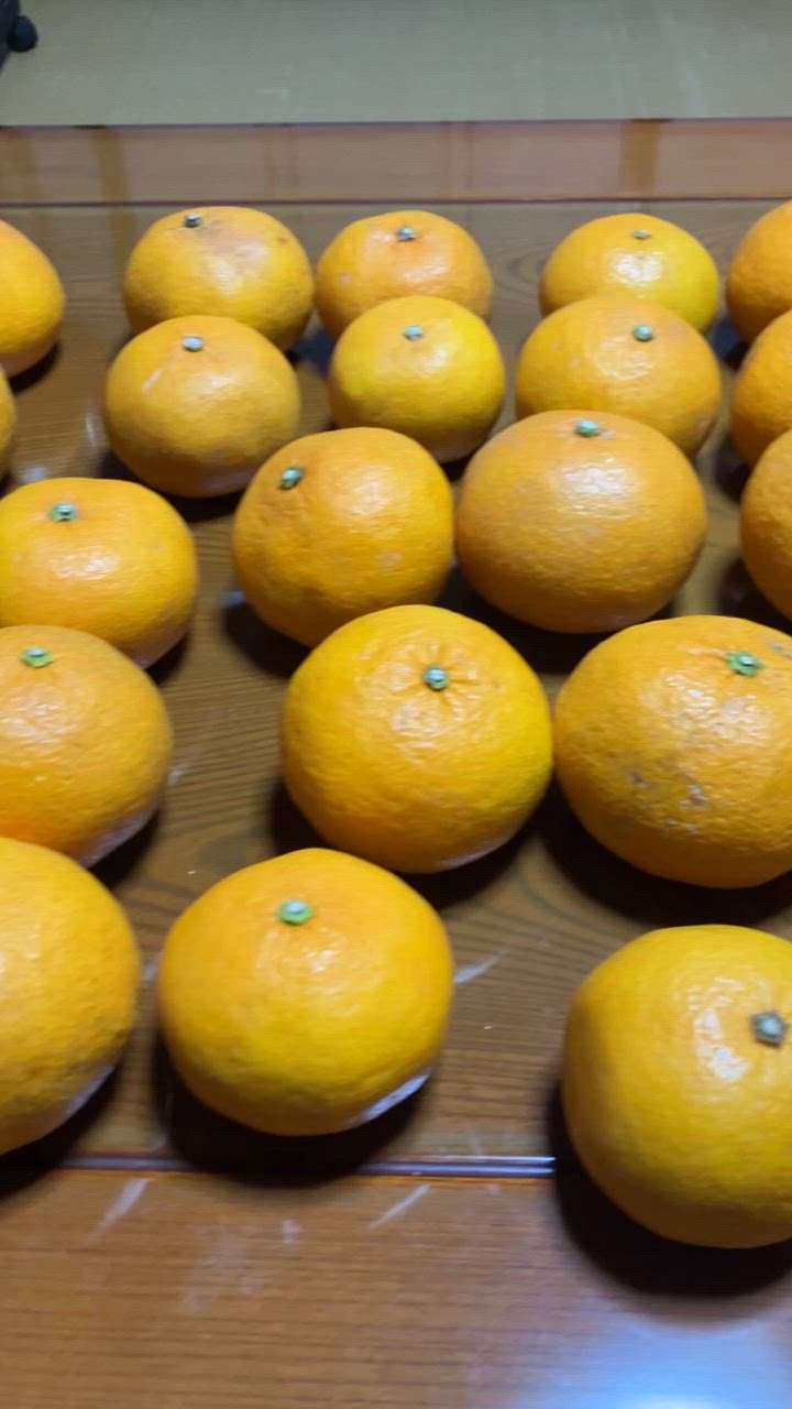訳あり甘夏 10kg 送料無料 訳あり 不揃い 2セット御購入でお得な