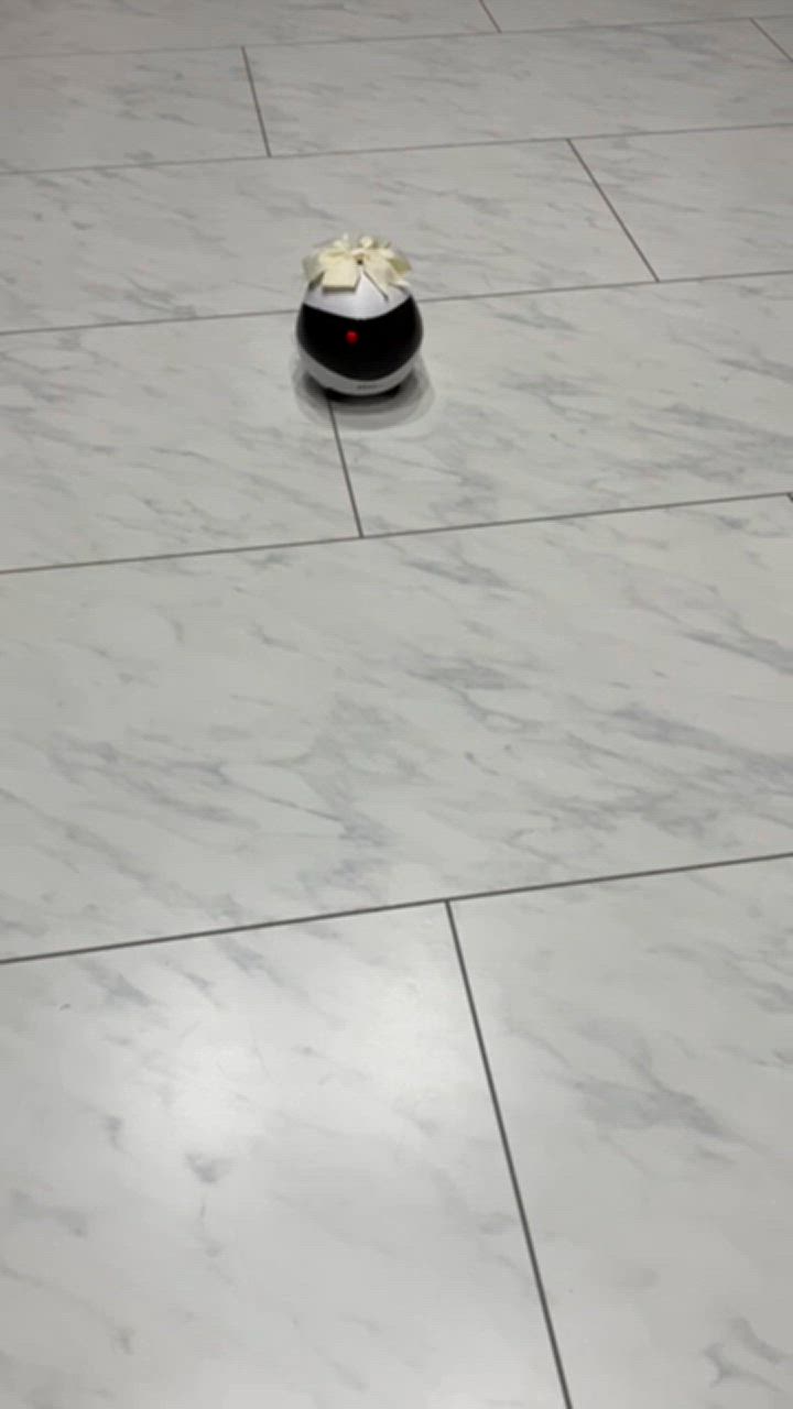 1件目のレビュー動画のサムネイル | 0