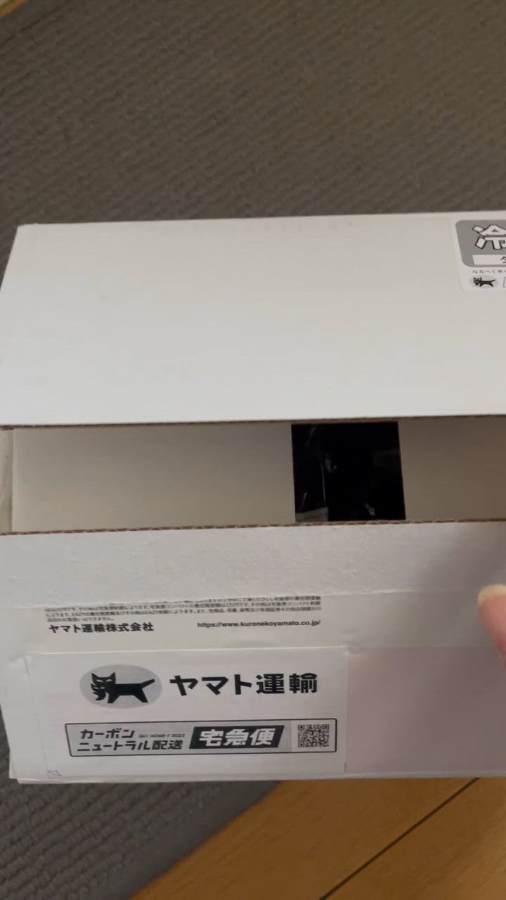 全体のレビュー動画のサムネイル | 0
