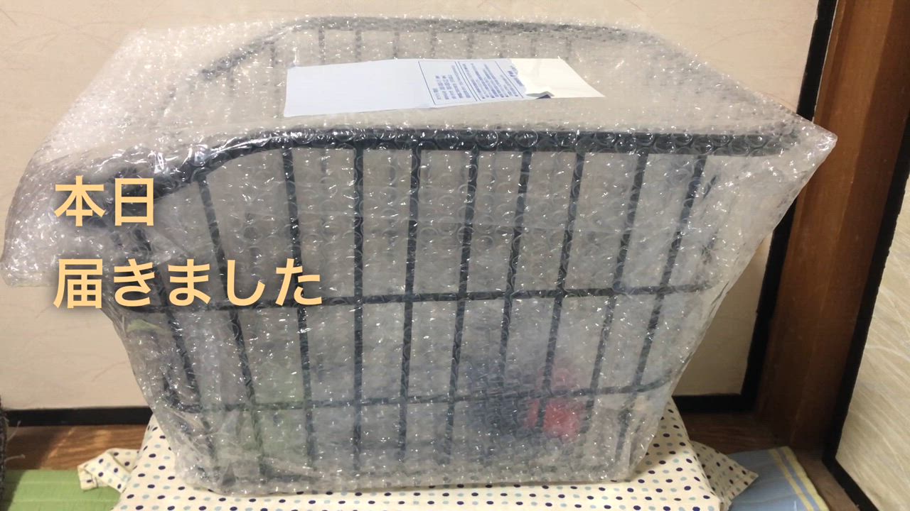 全体のレビュー動画のサムネイル | 0