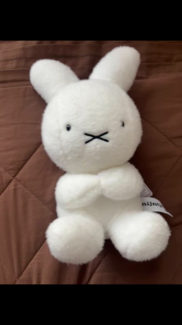 p*i様 希少 ❤︎ 未使用 タグ付き ミッフィ ホワイトシリーズ❤︎セキグチ Miffy 70thナインチェ ぬいぐるみ : セキグチダイレクトショップ