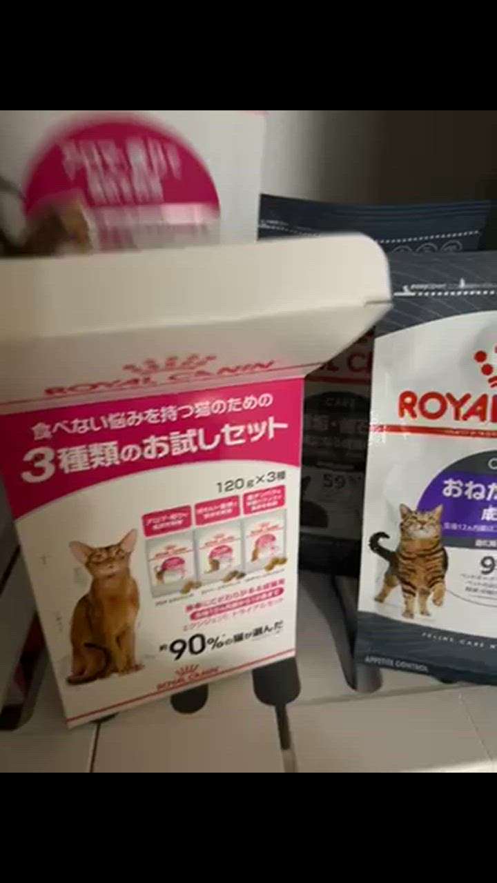 全体のレビュー動画のサムネイル | 0