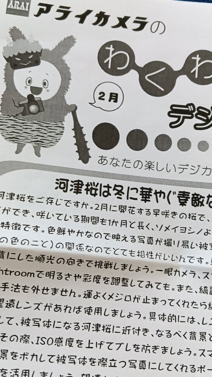 全体のレビュー動画のサムネイル | 12